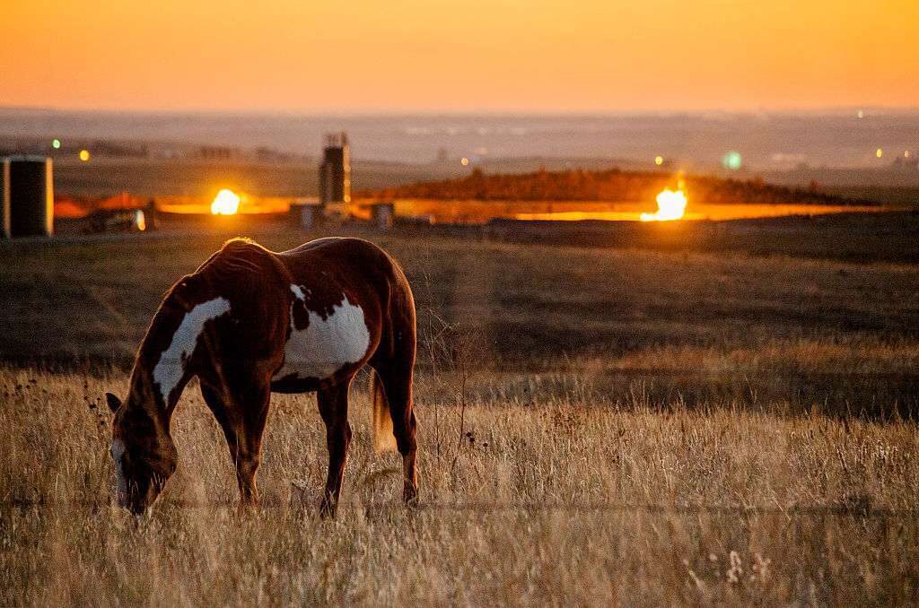 Flames appear from the flaring of methane near a well in the Bakken oil field.