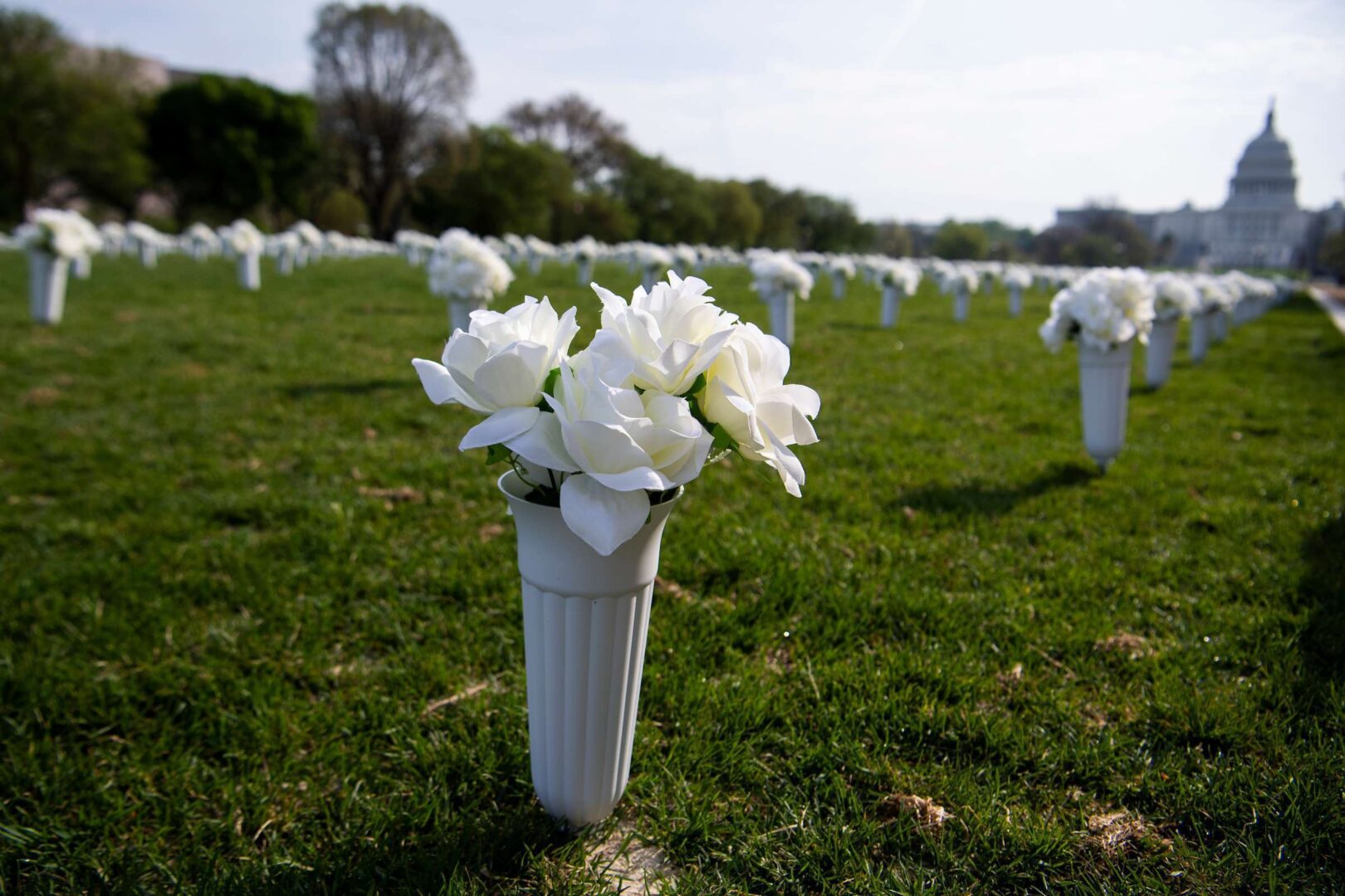 The Gun Violence Memorial, composed of 40,000 flowers that represent the deaths from gun violence in the United States each year, is pictured on the National Mall on April 14, 2021.