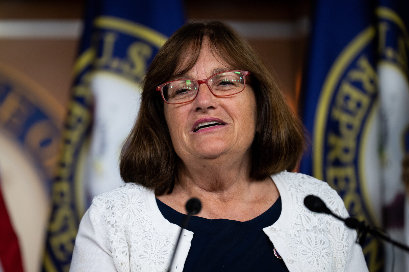 Rep. Ann McLane Kuster, D-N.H., will not seek another term in November.