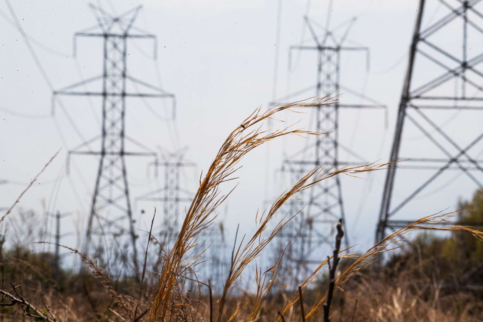 Electric power lines are pictured on Aquasco Farm Road in Prince George's County, Md.