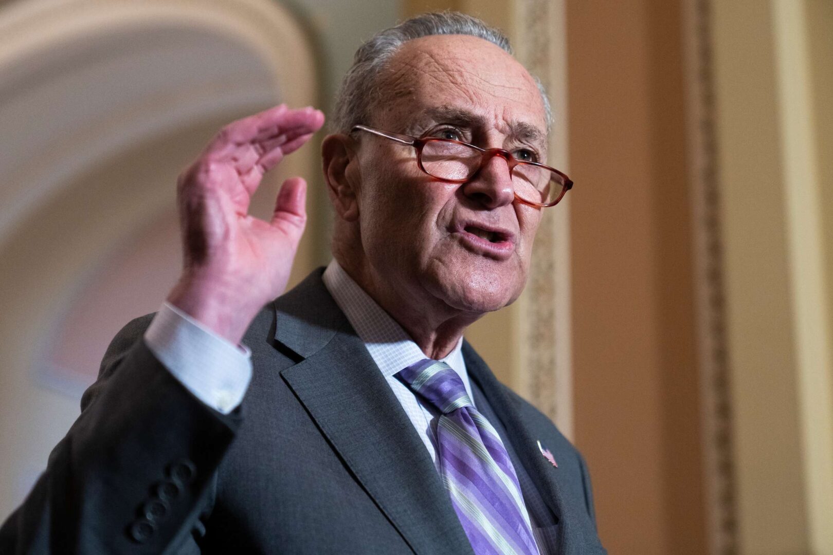 Senate Majority Leader Charles E. Schumer at a news conference earlier this week.