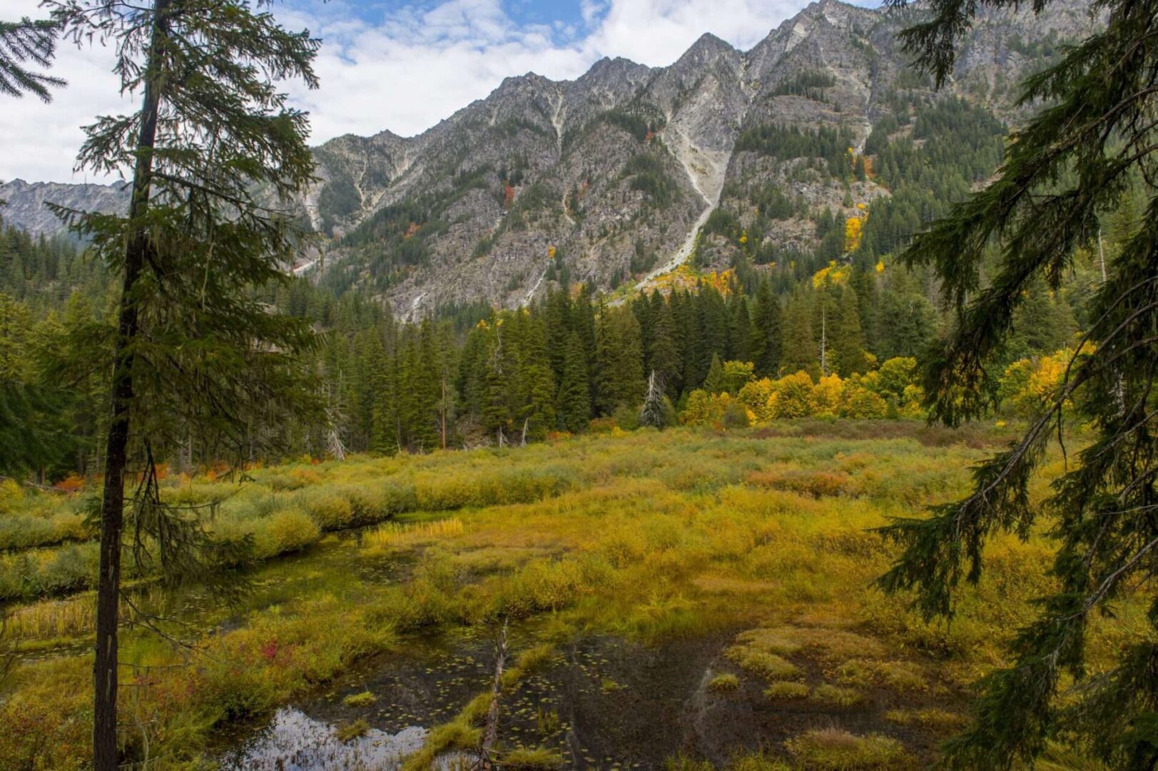 The Supreme Court is being asked to determine whether bodies of water like swamps or bogs are within federal jurisdiction under the Clean Water Act.