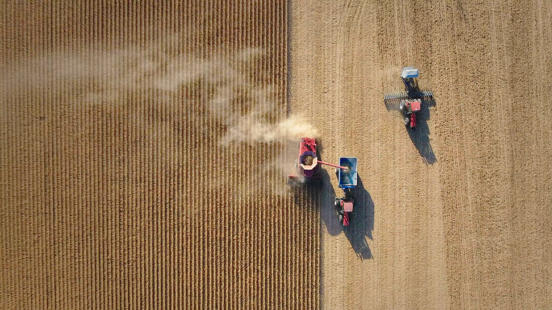 The American food system gets another look in “Food, Inc. 2.”